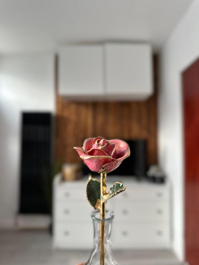 Modern En Suite Bedroom Close To City Centre リーズ エクステリア 写真